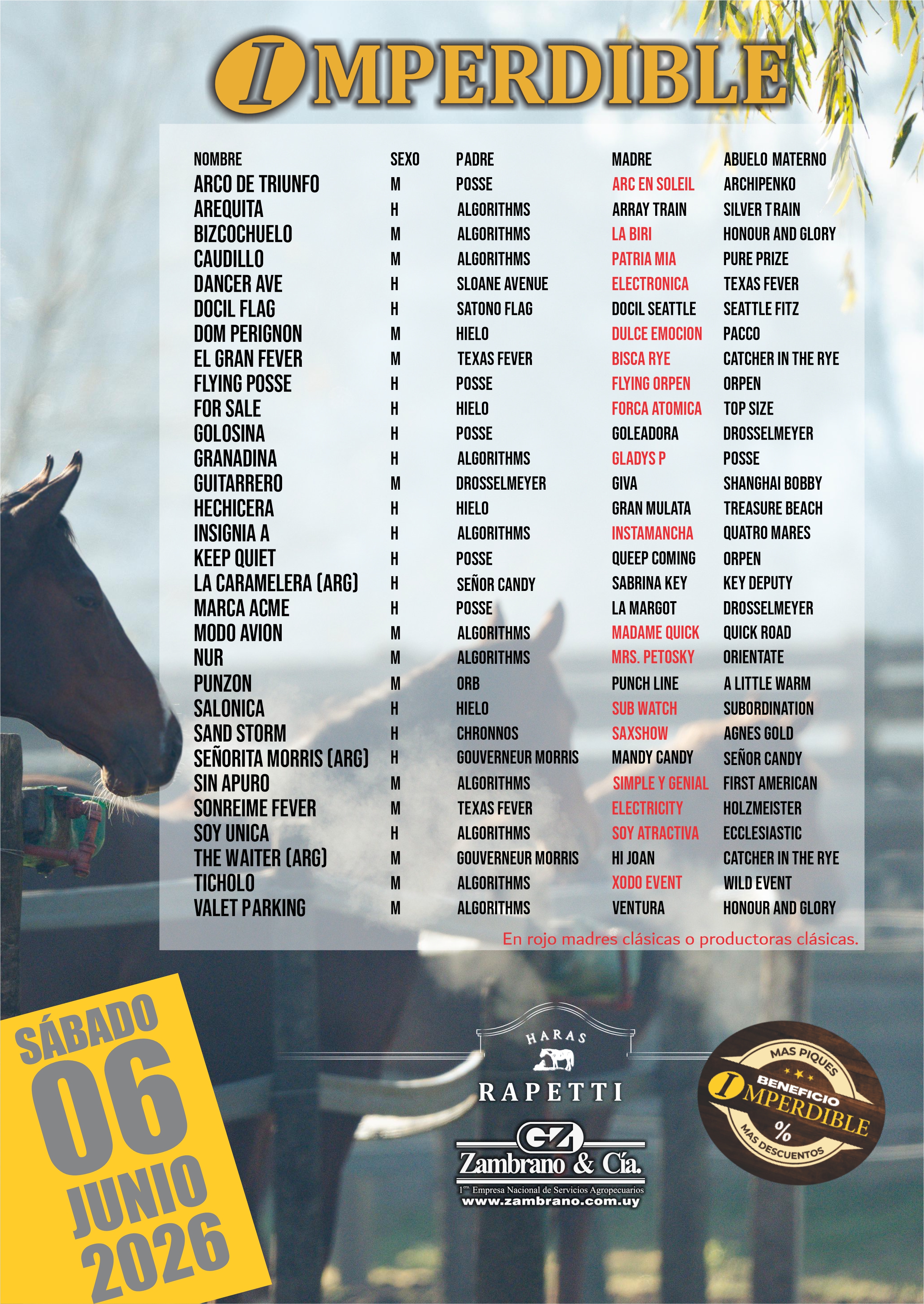 Imperdible 2026 - Haras Rapetti